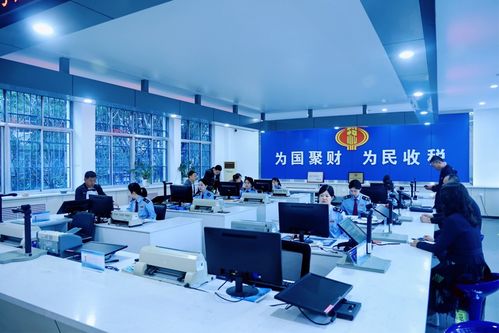 庆阳税务 高效办税促发展，税惠服务暖企心